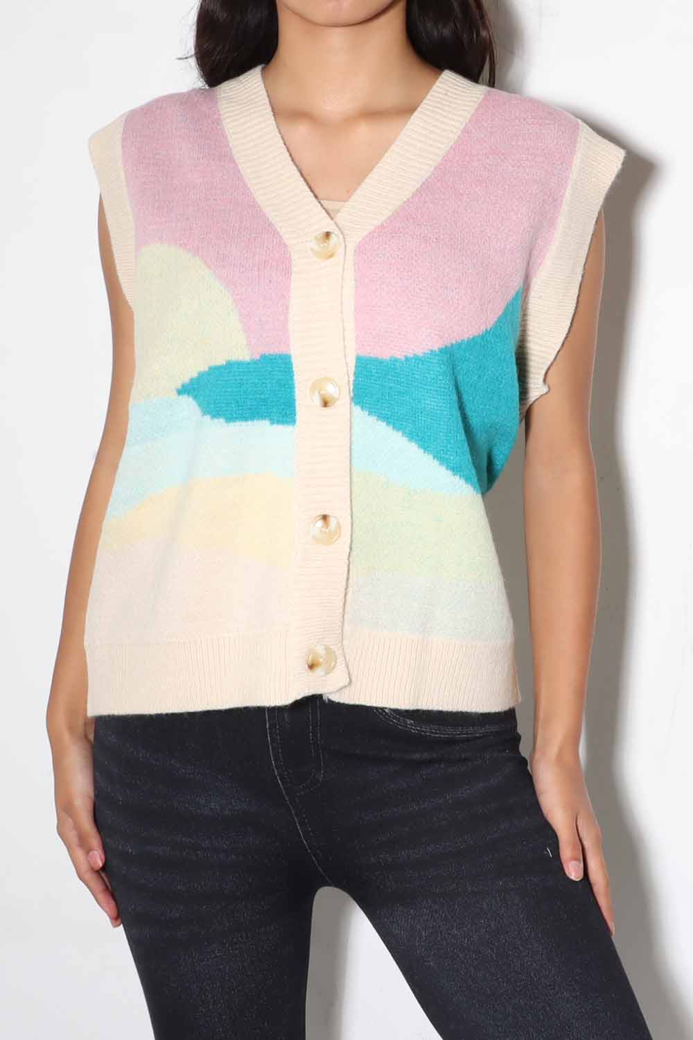 Vintage Color Block Knit Vest